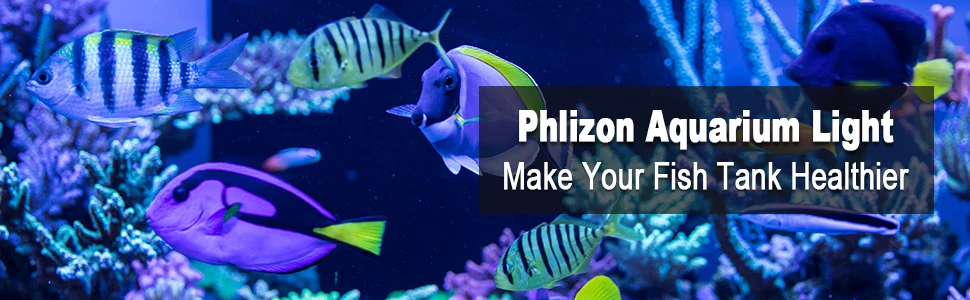 bbefb53f-2a01-4fe5-8225-ab7d43b8a95f.__CR0,0,970,300_PT0_SX970_V1___