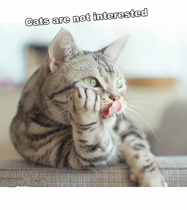 H8f74915f4ab04941982041f7dfd9ed09Q