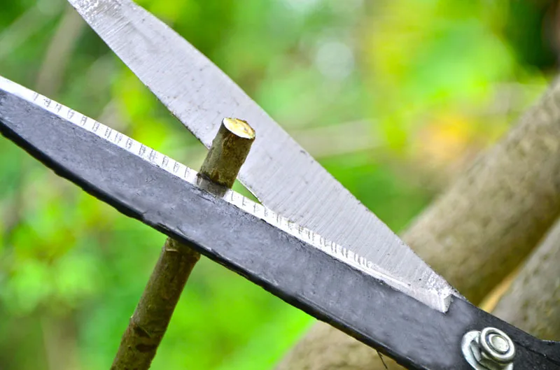 Выдвижная кусачки для кусачки садовые ножницы инструмент для обрезки цветочных деревьев