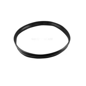 

Rubber Ring ТЭНа 6 kW ER 200-300 L.
