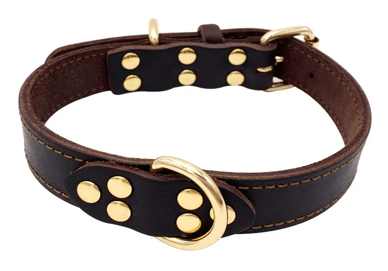 large dog collar-