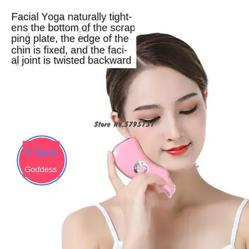 Price New Electric Beauty Scraping Instrument Dolphin Vibration Constant Temperature Heating Beauty Instrument Pull Micro Current Face