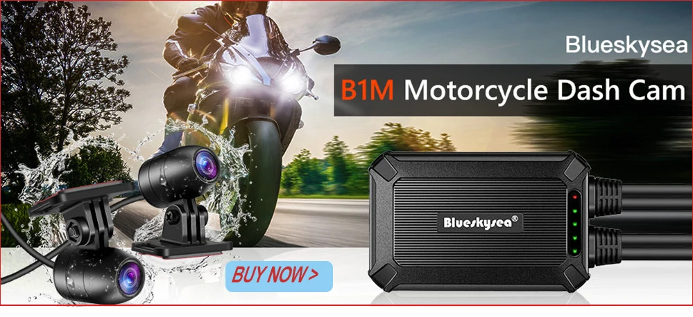 B1M