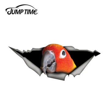 

Jump Time 13cm x 5cm Sun conure parrot sticker Torn Metal Decal Wild Animal Funny Car Stickers Window Bumper 3D Car Styling