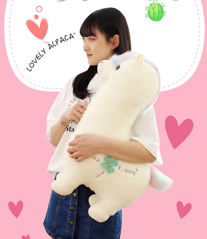 12087982842_457482698