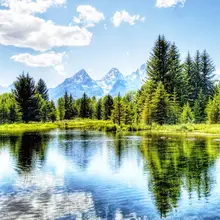 Oneroom DIY, Полная площадь, алмазная вышивка, дерево фото на заказ, алмазная живопись, вышивка крестом, 3D, Алмазная мозаика