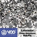 066 Labrador