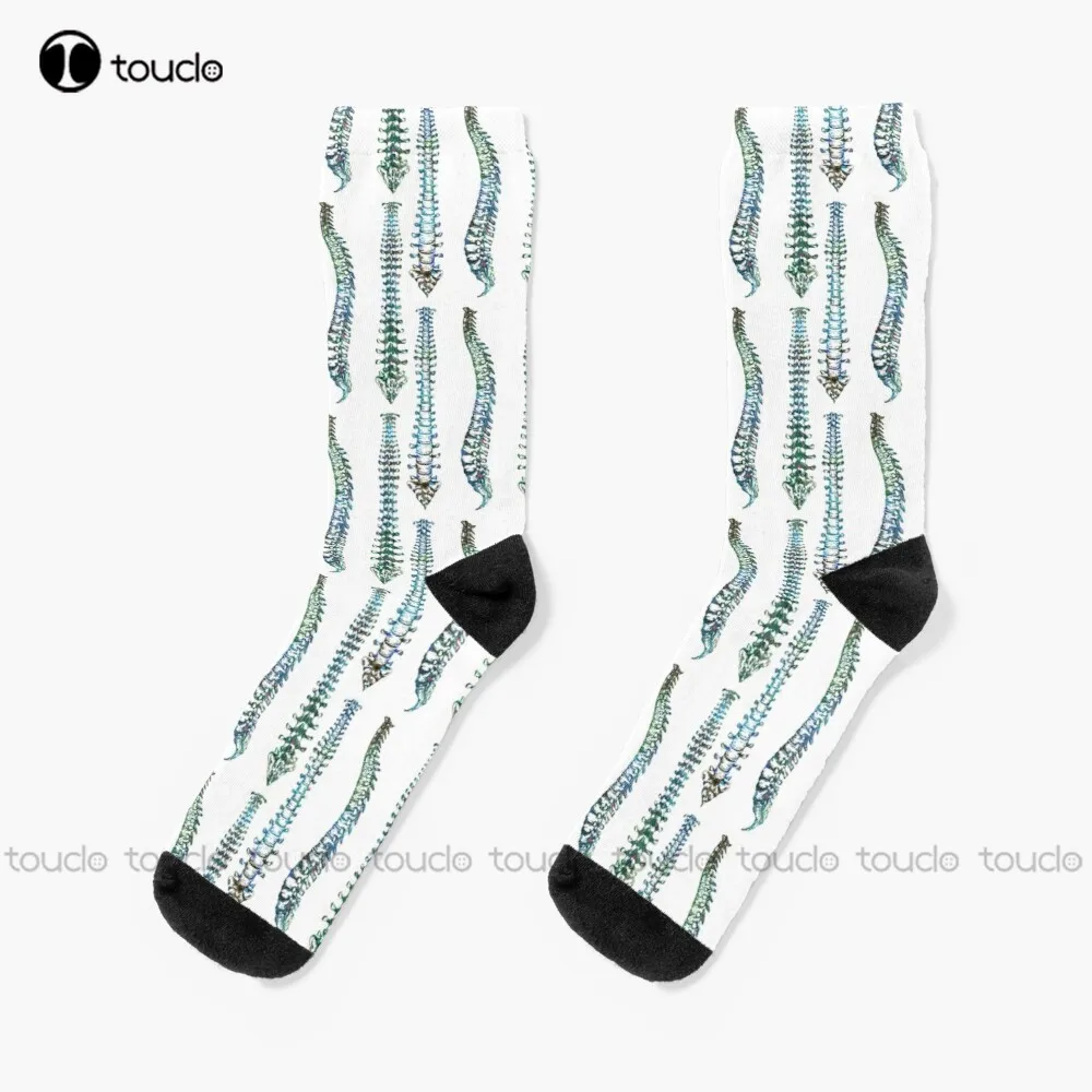 

Spine Front, Back, And Sideview Anatomy Socks Unisex Adult Teen Youth Socks Personalized Custom 360° Digital Print Funny Sock