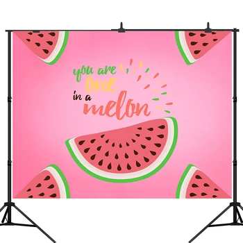 

Lyavshi Watermelon Party Backdrop One in a Melon Birthday Party Banner Photography Background First Birthday Pink Melon Party