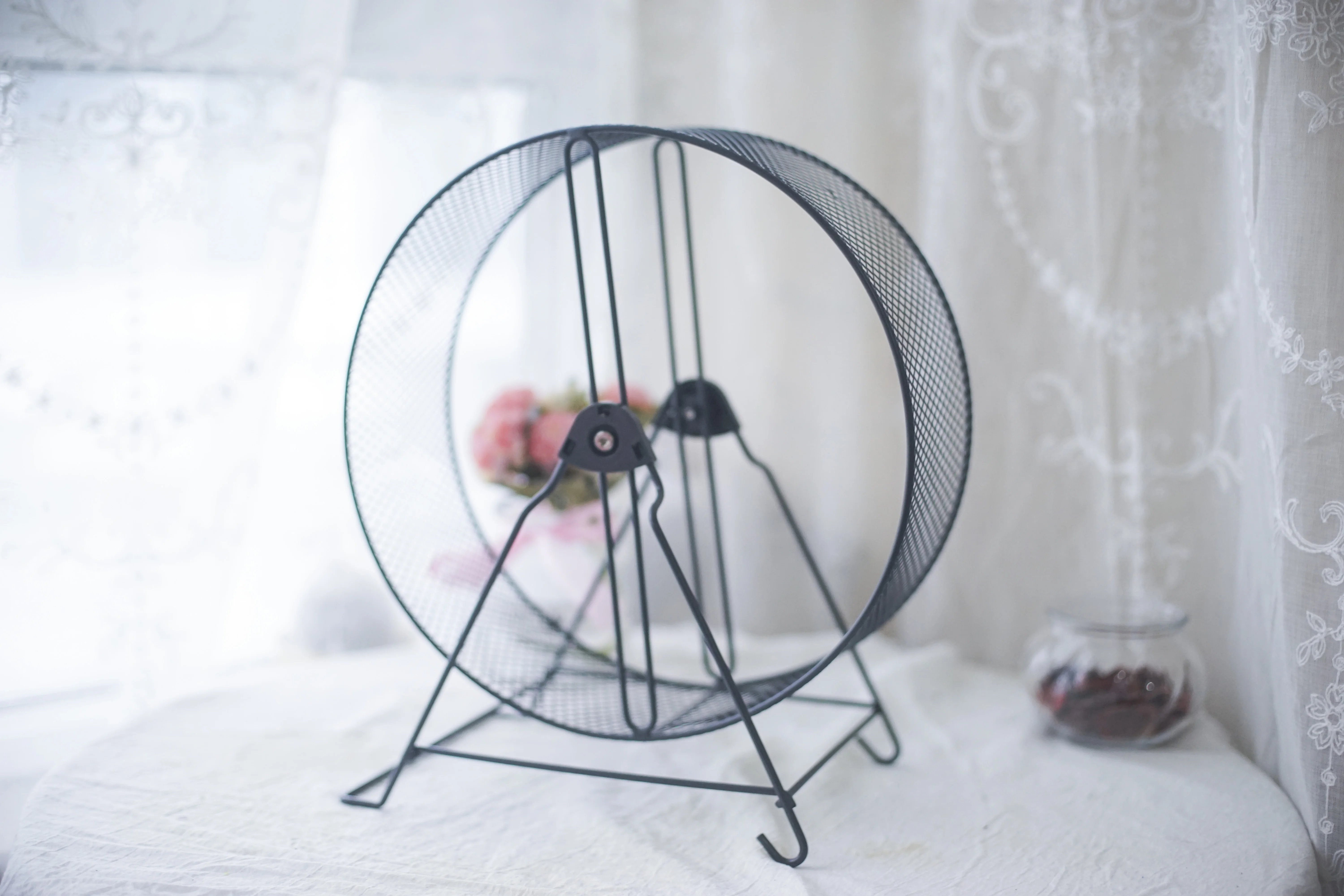 Squirrel Hedgehog Totoro Honey Bag Turtle Running Wheel Mute Metal Bearing Dayang Running Wheel Nail Wall Floor Products