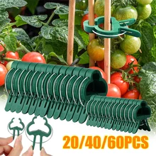 Clips de injerto para invernadero, soporte de abrazadera de plástico para plantas, soporte fijo para tallo de semillas, 20/40/60 Uds.