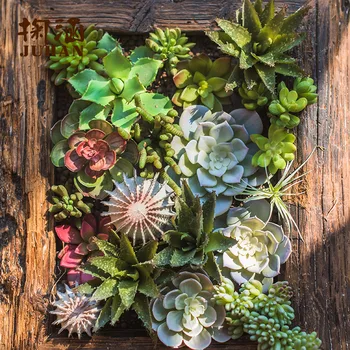 

STONE LOTUS DIANTHUS GUANYIN LOTUS BUDDHA LOTUS ALOE SIMULATION SUCCULENT PLANT SMALL BONSAI