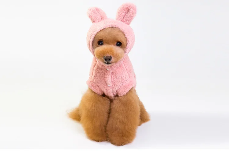 Милая собака толстовка зимняя одежда для собак пальто для собак куртка хлопок Ropa Perro французская одежда для бульдога Одежда Для Собак Мопс