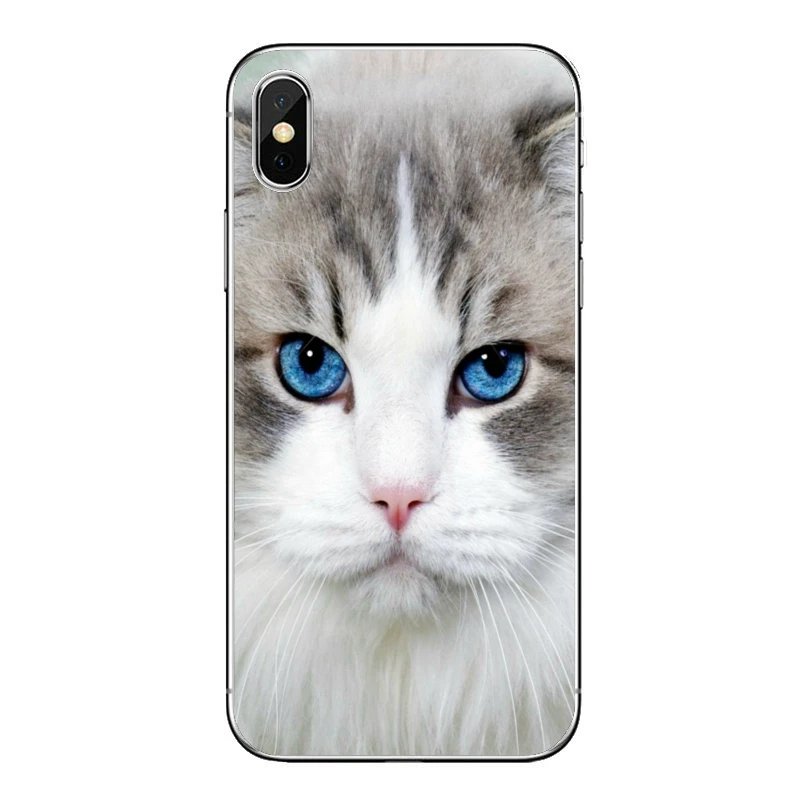 xiaomi leather case chain Soft Case For Xiaomi Redmi Note 8 7 6 5A 4 Pro Redmi 7 7A K20 6 6A 5A 4A 4X 5 Plus S2  Cute kitten cat Silicone Cover phone cases for xiaomi Cases For Xiaomi