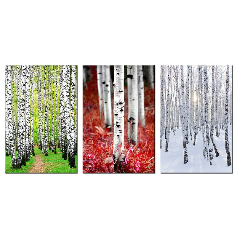 Birke Wald Malerei Leinwand Drucke Landschaft Mit Hain Von Silber Birke Baume In Fruhling Herbst Winter Wand Kunst Malerei Birch Forest Painting Canvas Printsforest Painting Aliexpress