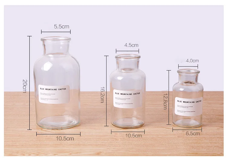 Скандинавские Инс ветер прозрачные стеклянные для реагентов стикер ваза гидропоники сушеный цветок небольшая ваза гостиной украшения ремесла