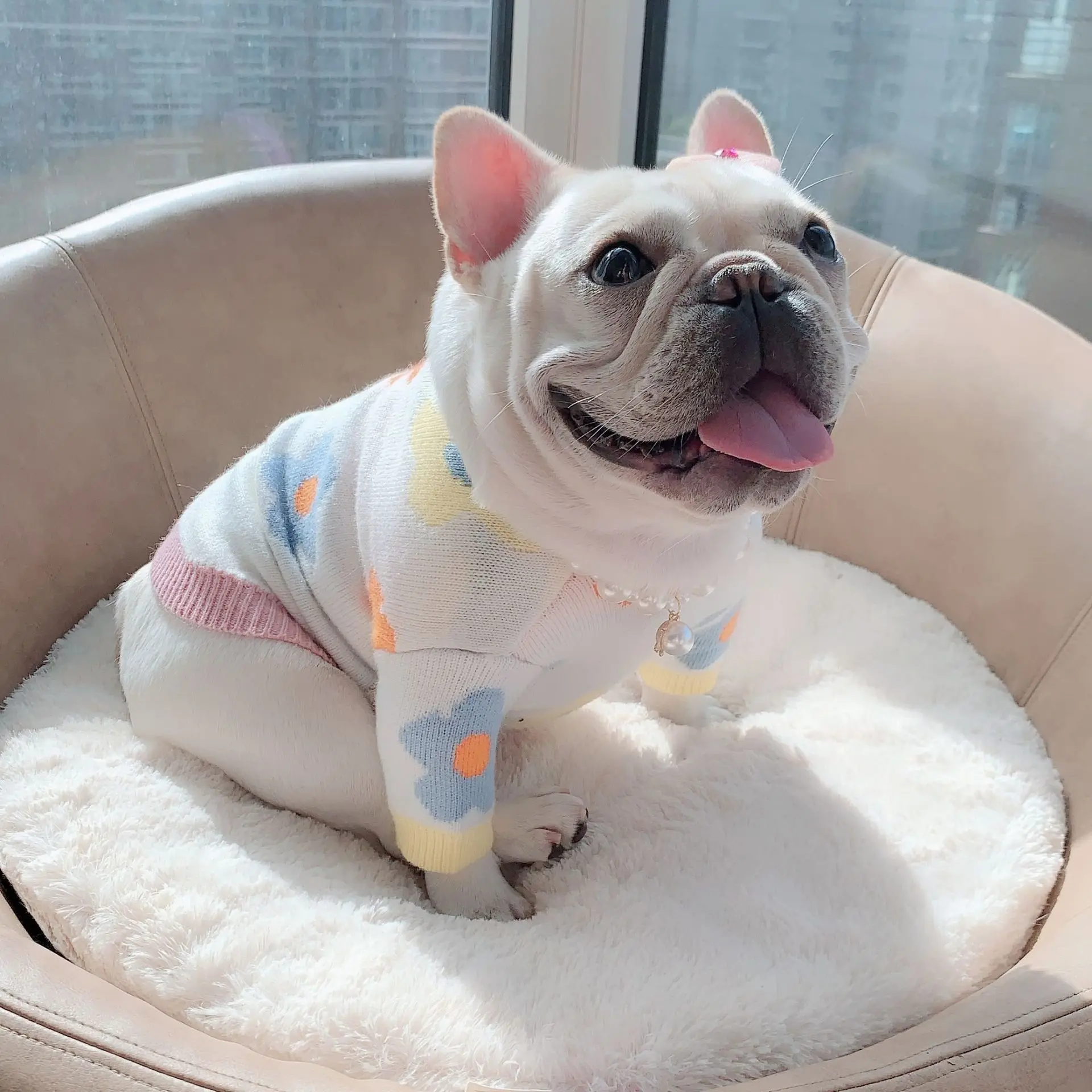 Louis Vuitton Dog Orange Dog Sweater SUPREPET Flowers Puppy Dog Sweater  Winter Warm Clothing For Small