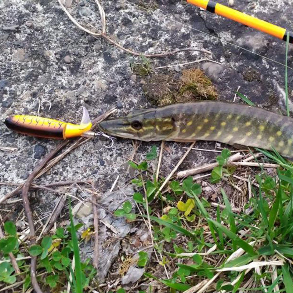 FARGIANT Swimbait Hard Lure VIB Whopper Plopper Jigging Lure Soft Rotating Tail Fishing Tackle Geer Topwater Fishing Lure Equip FARGIANT Swimbait Hard Lure VIB Whopper Plopper Jigging Lure Soft Rotating Tail Fishing Tackle Geer Topwater Fishing Lure Equip