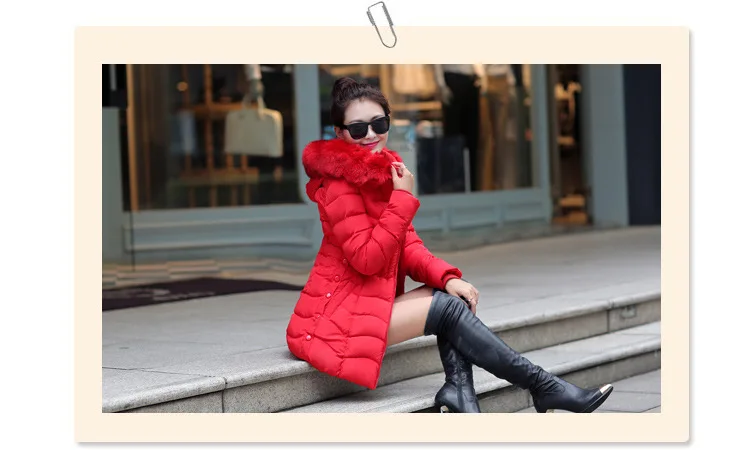 2451370800_1570061270