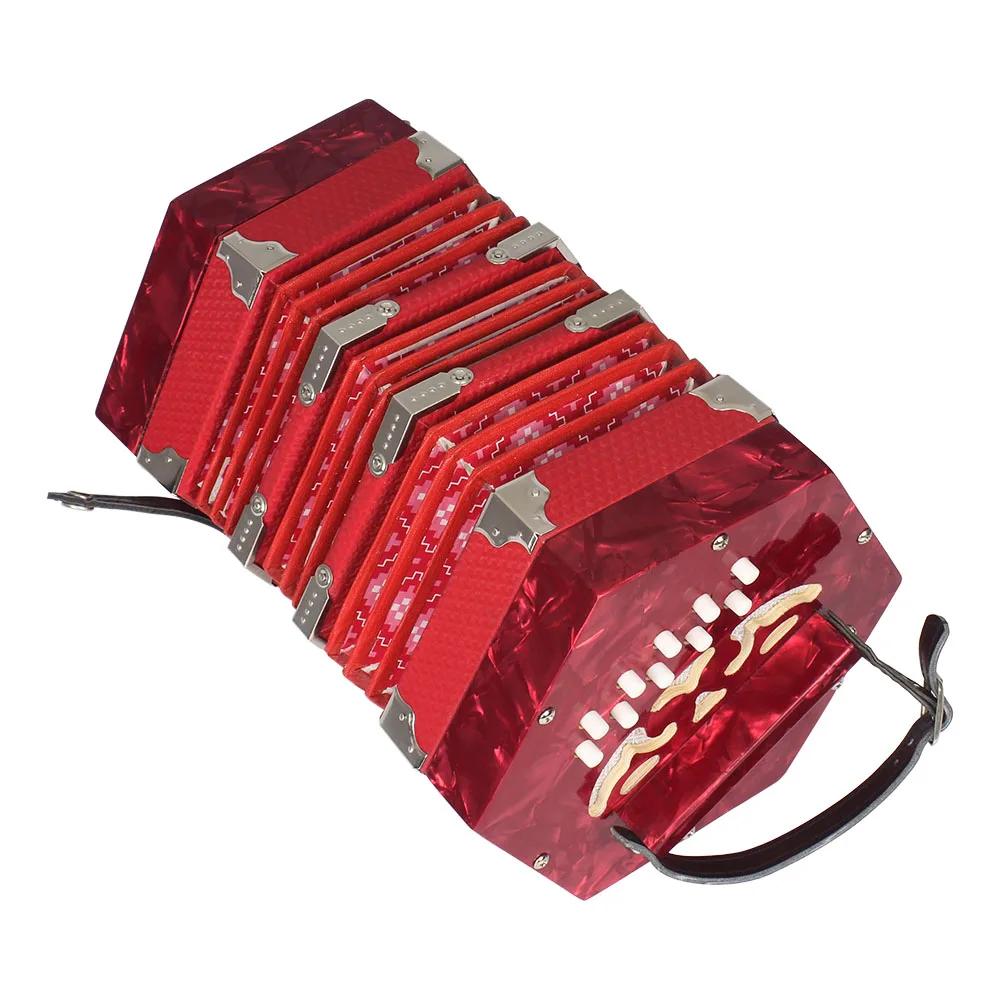 Concertina Accordion 20-Button 40-Reed Anglo Style with Carrying Bag | Спорт и развлечения