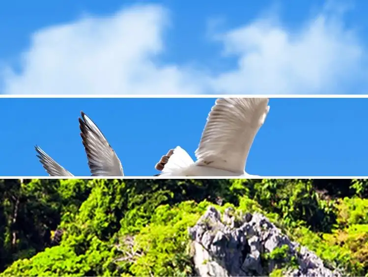 360截图20200419143746620