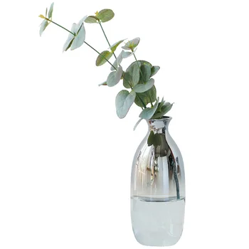 

Nordic Gradient Lucency Glass Flower Vase Glass Hydroponic Device Contracted Desktop Ornament Home Decoration Accessories