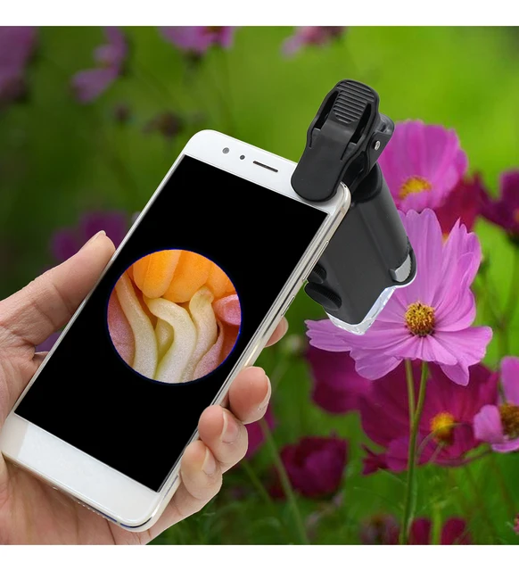 Microscope Accessories Kit For Adult 100X Mobile Phone