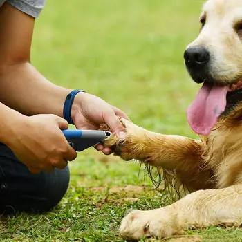 

Pet Dog Cat Birds Nail File Kit Toe Claw Clippers Scissors Cutter Tool Shears Grooming Pet Trimmer Nails Cutting Claws X5P7