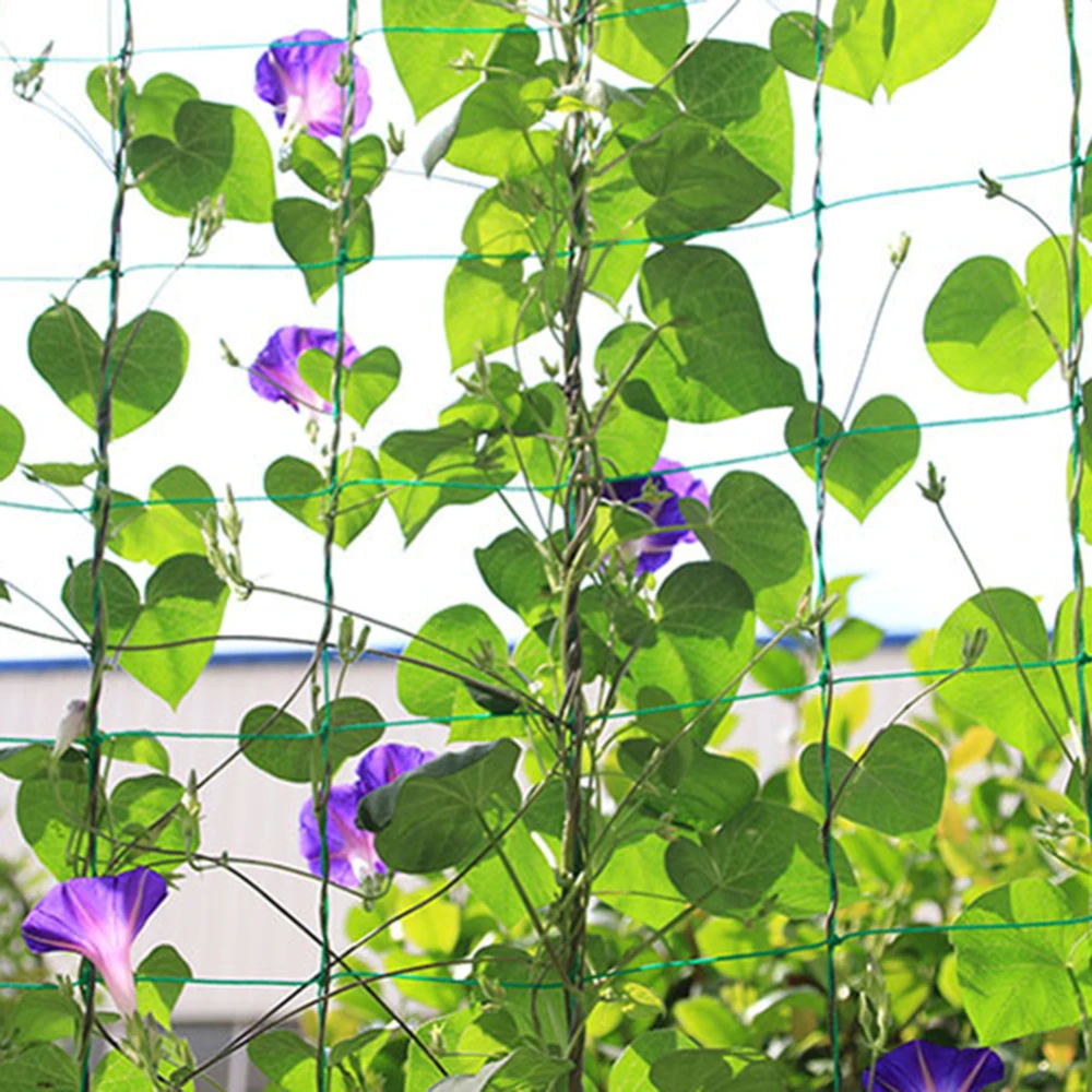 

Garden Green Nylon Vegetable Plant Trellis Netting Support Nets Bean Plant Climbing Grow Fence Anti-bird Net