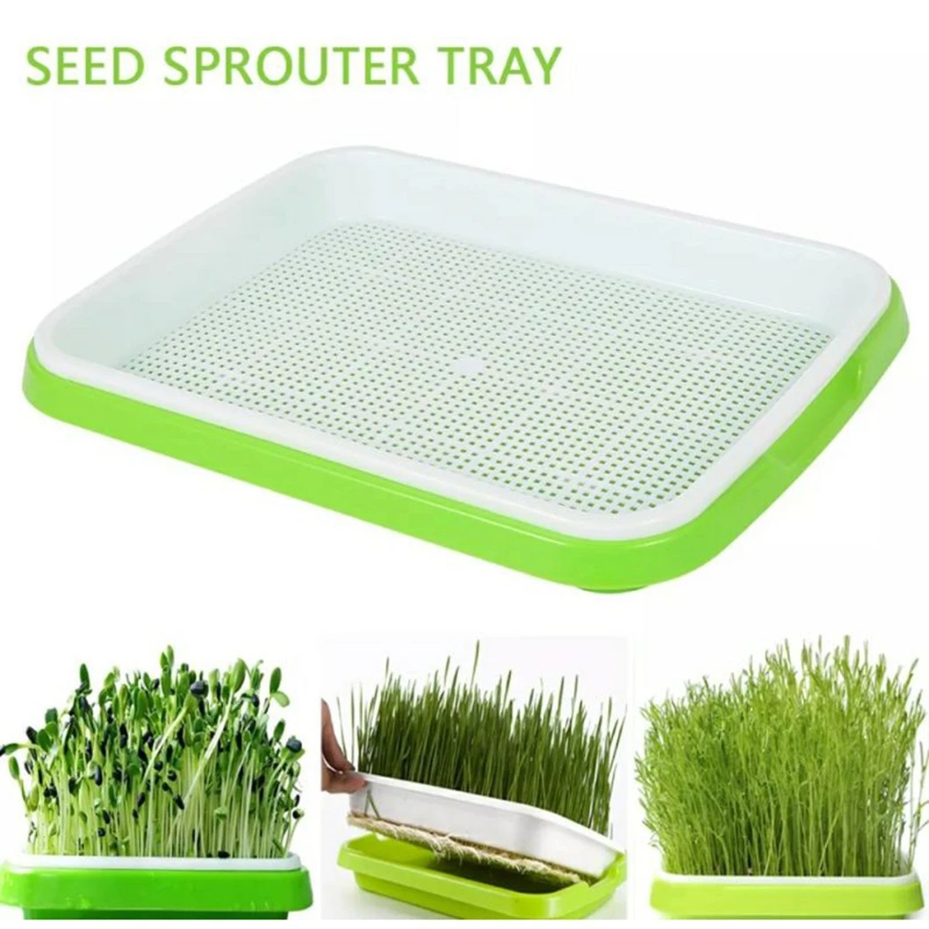 1pc Seed Sprouter Tray Soil-Free Big Capacity Microgreens Hydroponic Tray 33cm x 26cm x 5cm For Sprouts Gardening Supplies