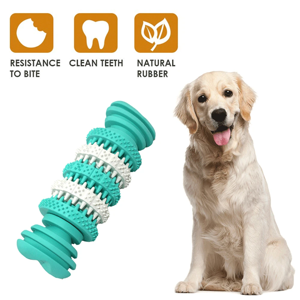 juguetes dentales para perros