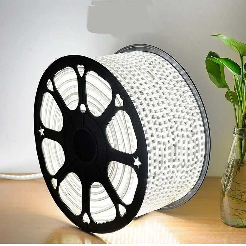 

Waterproof Light Strip LED Light With Living Room Ceiling Background Wall Dimming Double-Row Outdoor 220V RGB Led Strip