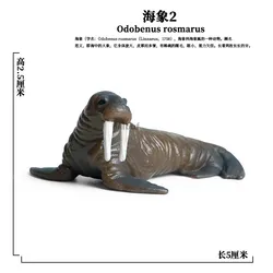 Sea Marine Animals Action Figures - Ocean Adventure Educational Toy Set (Mini Figures 5)