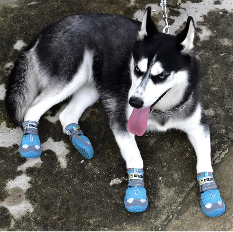 Huisdier Hond Croc, zomer Puppy Schoenen Voor Kleine Honden, snoep Kleuren Sandalen, Ademende Comfortabele Hond Schoenen Cadeau Voor Huisdier Festival Blauw 2 Paar | NL