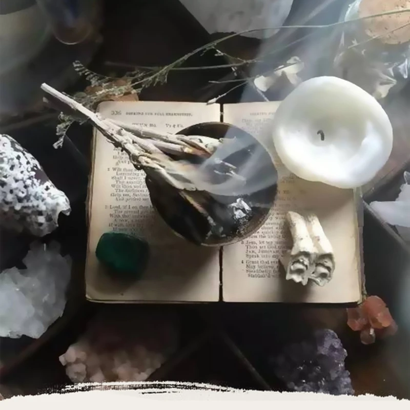 2 шт. Американский califoria белый Sage Smudge Stick Wisp Sage растение для очистки комнаты современные предметы домашнего обихода аксессуары