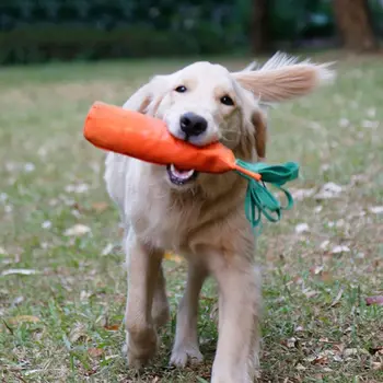 

2pcs Carrot-shaped Pet Dog Sniffing Play Bite-resistant Toy Durable Bottle Holder