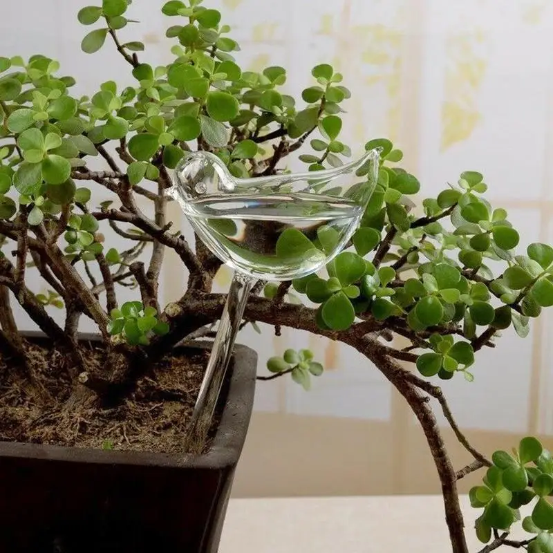 Birds-Shape-House-Plants-Flowers-Water-Feeder-Automatic-Self-Watering-Devices-Clear-Glass-Water-Feeder-Garden (4)