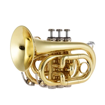 

ammoon Mini Pocket Trumpet Bb Flat Brass Wind Instrument with Mouthpiece Gloves Cleaning Cloth Carrying Case