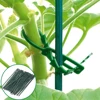 Garden Supplies