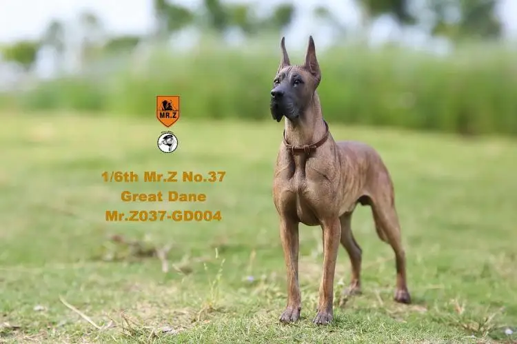 1/6 масштаб Коллекционная модель собаки любимчика Mr. Z MRZ037 немецкий Great Dane(все 6 цветов) для 12 дюймов фигурка