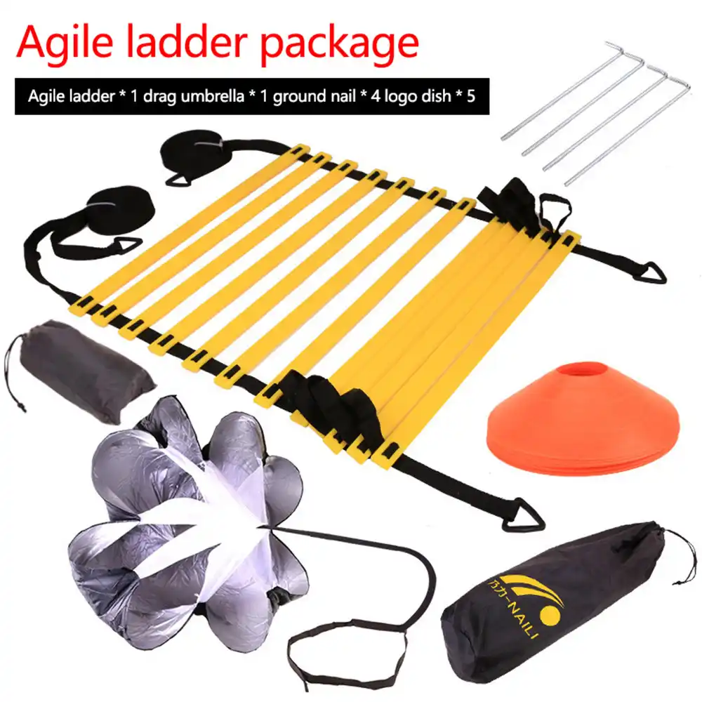 agile ladder