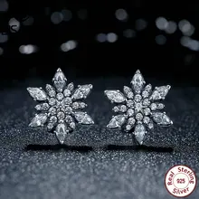 BISAER Оригинальные 925 пробы серебряные кристаллизованные снежинки прозрачные кристаллы Серьги гвоздики для женщин ювелирные изделия HJS430