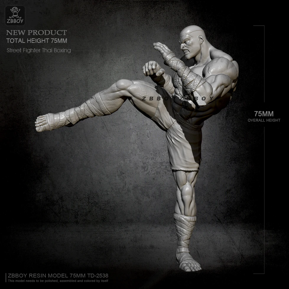 H75mm 1/24 Смола модельные наборы мужские самособранные Фотоэлементы