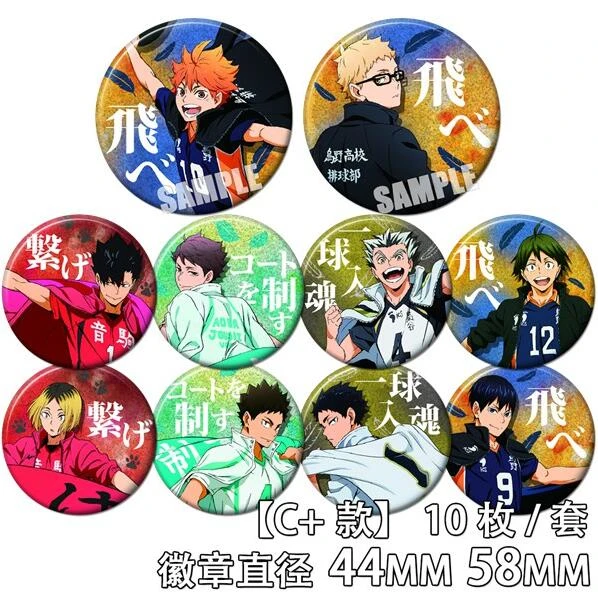 Haikyuu Anime Volleyball positions  Personagens de anime, Anime,  Personagens de anime feminino