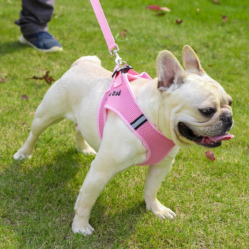 15243670265_1490864554