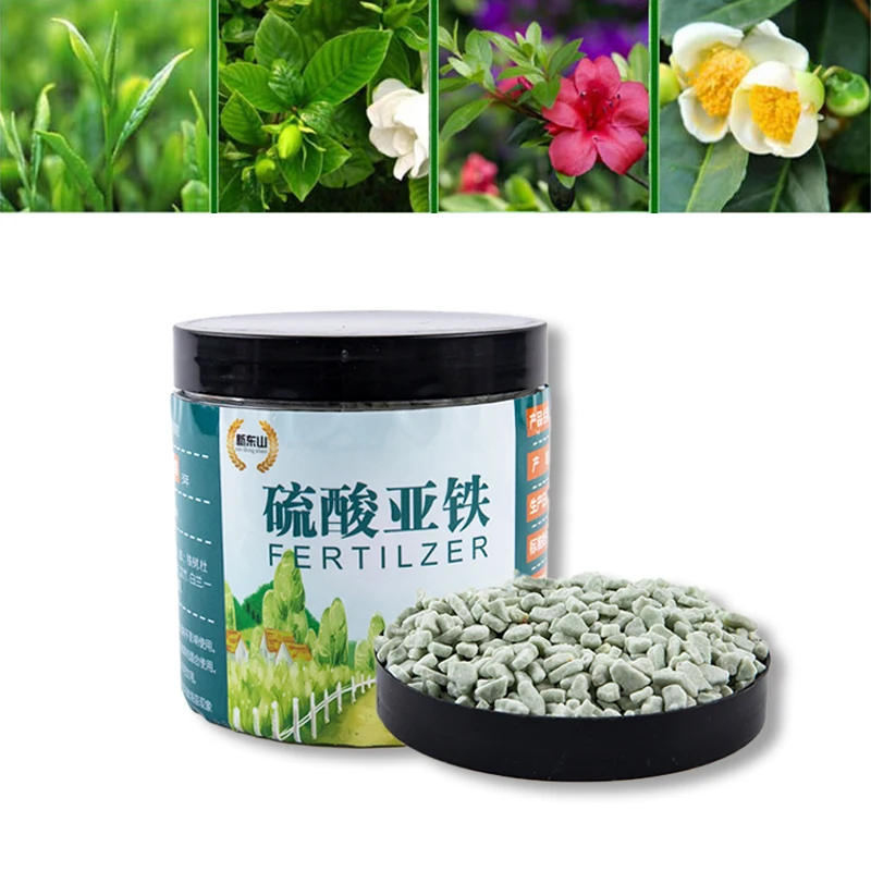 440g Ferrous Sulfate Fertilizer FeSO4 Adjust Soil pH Flower Bonsai Garden |