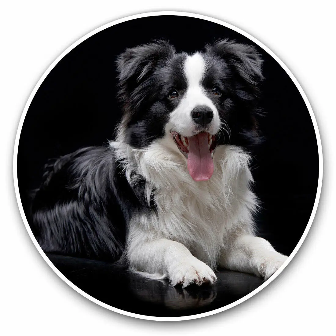 

S61746 # Black Border Collie Farm Dog Puppy Self-adhesive Decal Car Sticker Waterproof Auto Decors on Bumper Rear Window Laptop