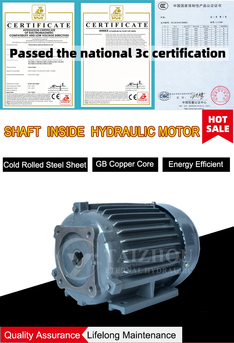 Mp Series 0.5Hp 1H 2Hp 3Hp 10Hp Electric Dc 12V 48V Ac 220V Motor Single Phase Three Phase Electric Motor 5000Rmp Credit Seller