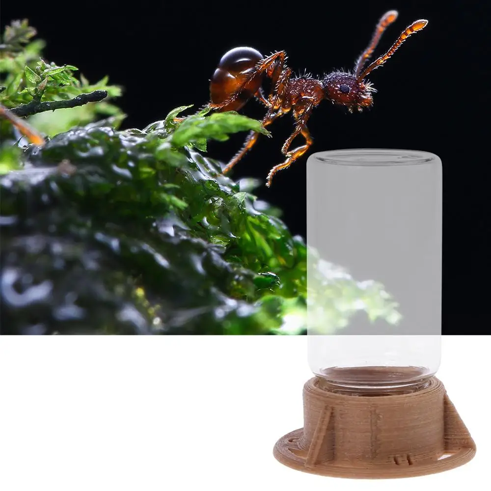 

Practical Ant Feeder Ant Farm Insect Nests House Water Erea Ant Feeding Bowl