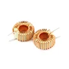 2PCS Toroid Core Inductors 10A Winding Magnetic Inductance 47uH Toroid Inductor Coil ► Photo 3/4